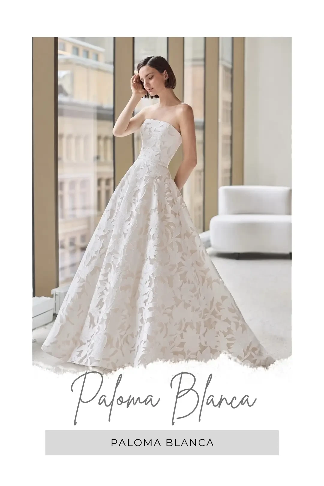 Paloma Blanca