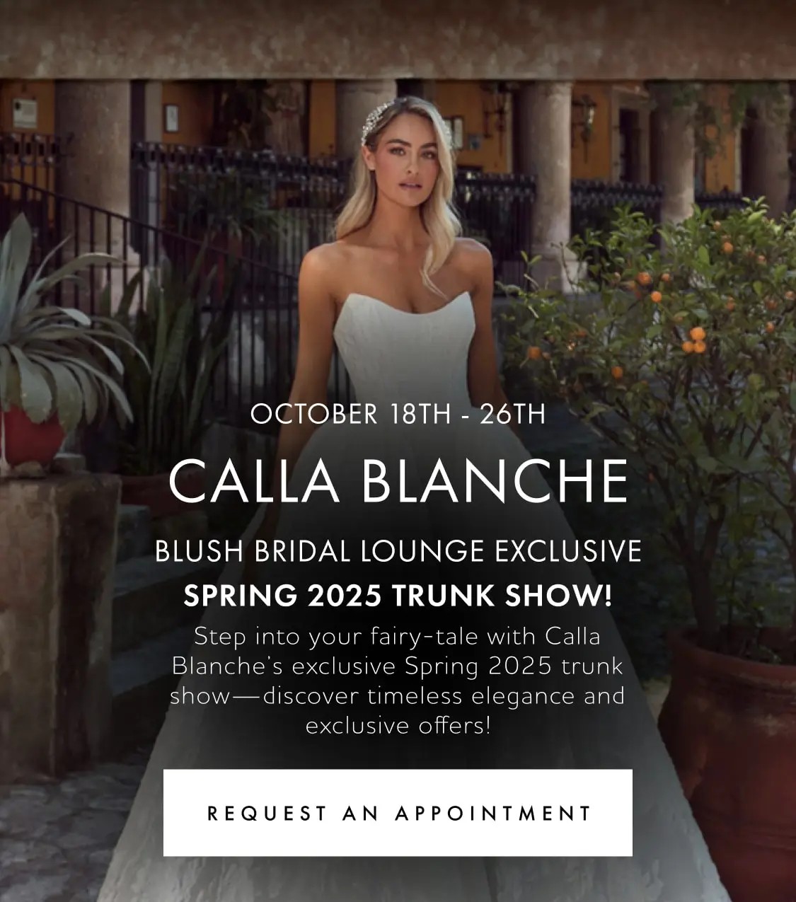 Blush Bridal Lounge Designer Wedding Dresses Find Top Designer Brands at Blush Bridal Lounge in Austin Texas